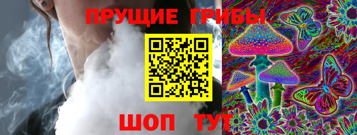 Галлюциногенные грибы мицелий  Вход с VPN  Алейск 