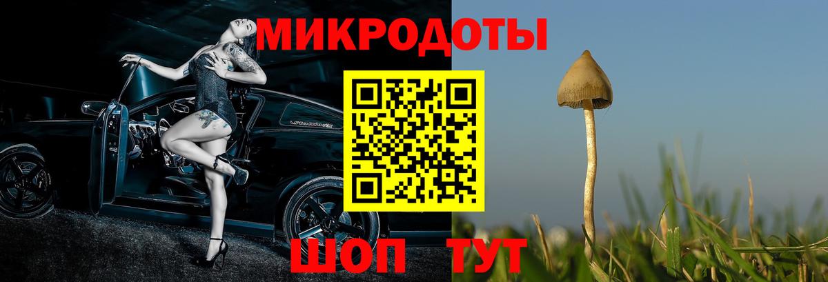 Галлюциногенные грибы GOLDEN TEACHER Алейск